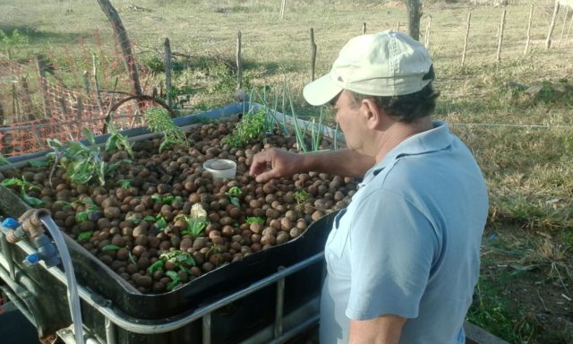 MSABP - AQUABIOPONICS IN BELO JARDIM